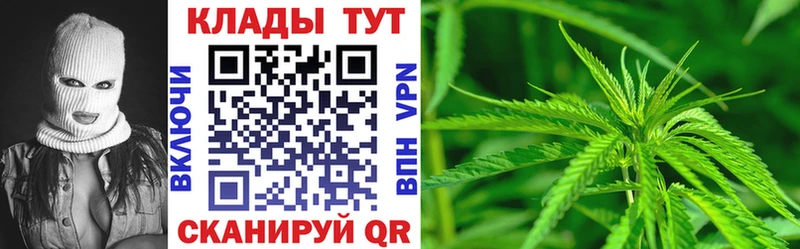 Где купить наркотики Сольвычегодск ГАШ  A PVP  Кокаин  Меф  МАРИХУАНА 