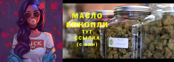 гашик Аркадак