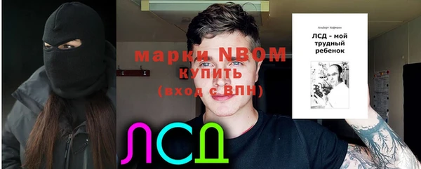 гашик Аркадак