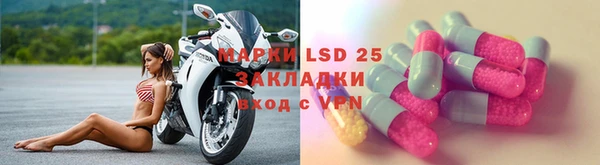 гашик Аркадак
