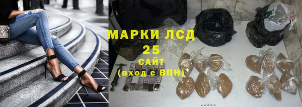 гашик Аркадак