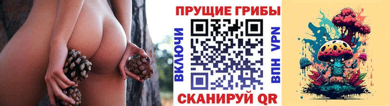 как найти   Сольвычегодск  Псилоцибиновые грибы мухоморы 